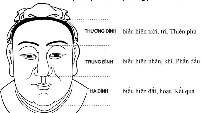 Các yếu tố của nhân tướng học - Tam đình