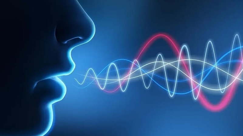 Đọc vị nhân sự qua giọng nói