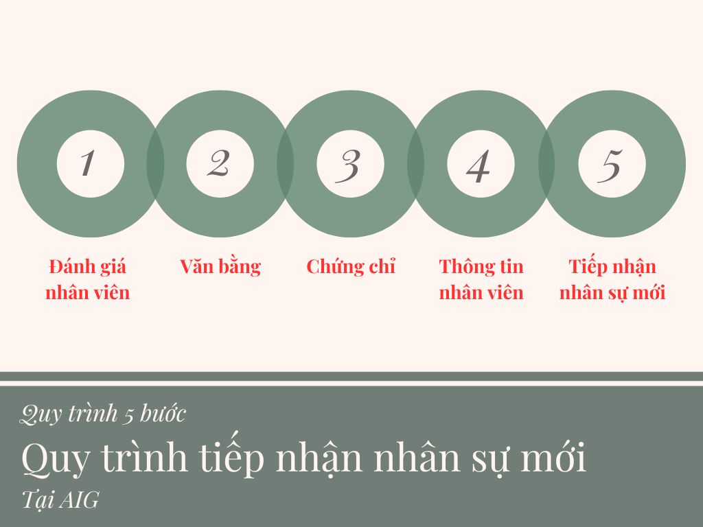 Chứng Chỉ Nhân Sự – Nền Tảng Vững Chắc Cho Sự Nghiệp