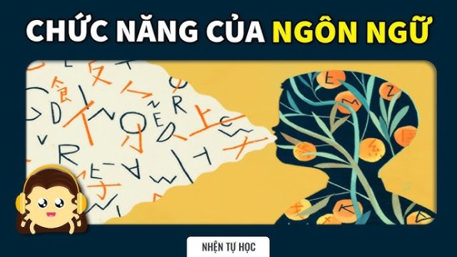 Chức năng của giao tiếp: Tầm quan trọng trong cuộc sống hàng ngày và công việc