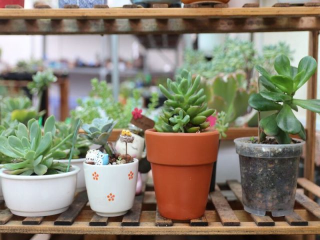 Có 40 triệu nên đầu tư gì? Gợi ý những mô hình hiệu quả